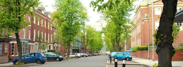Elmwood_Avenue,_Belfast_-_geograph.org.uk_-_1297052